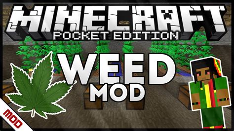 I take a look at the herblore mod made by calebmanly and have some fun smoking WEEDLet me know what you think of this video and what other mods you would l. . Minecraft mod weed